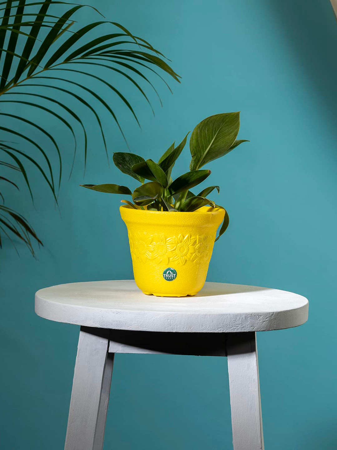 TRUSTBASKET Yellow Textured Planter