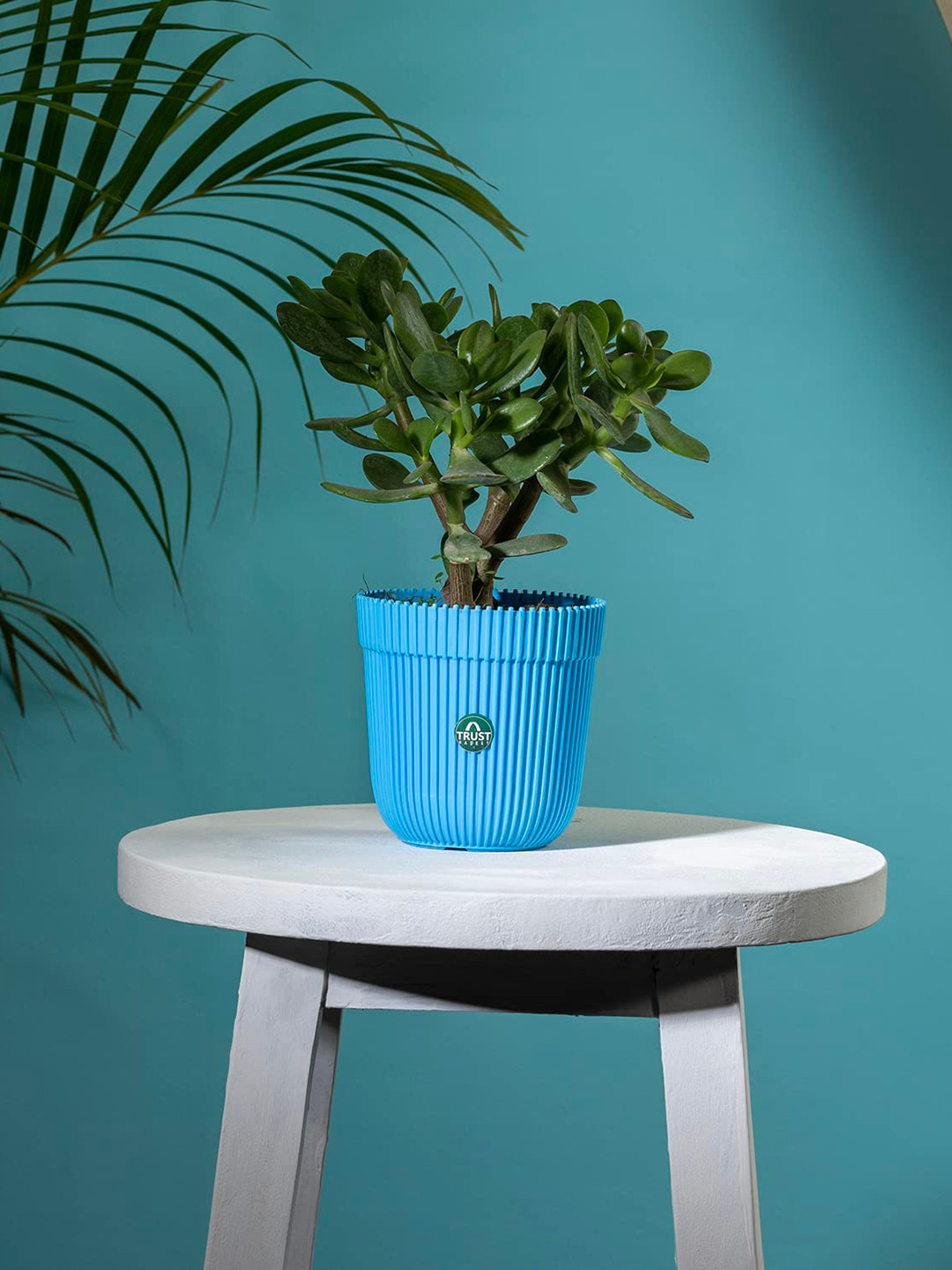TRUSTBASKET Blue Textured Planter