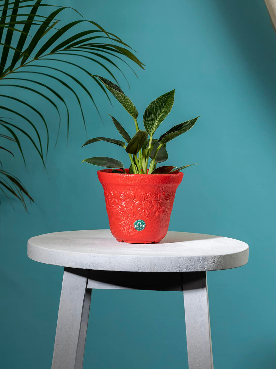 TRUSTBASKET Red Textured Planter