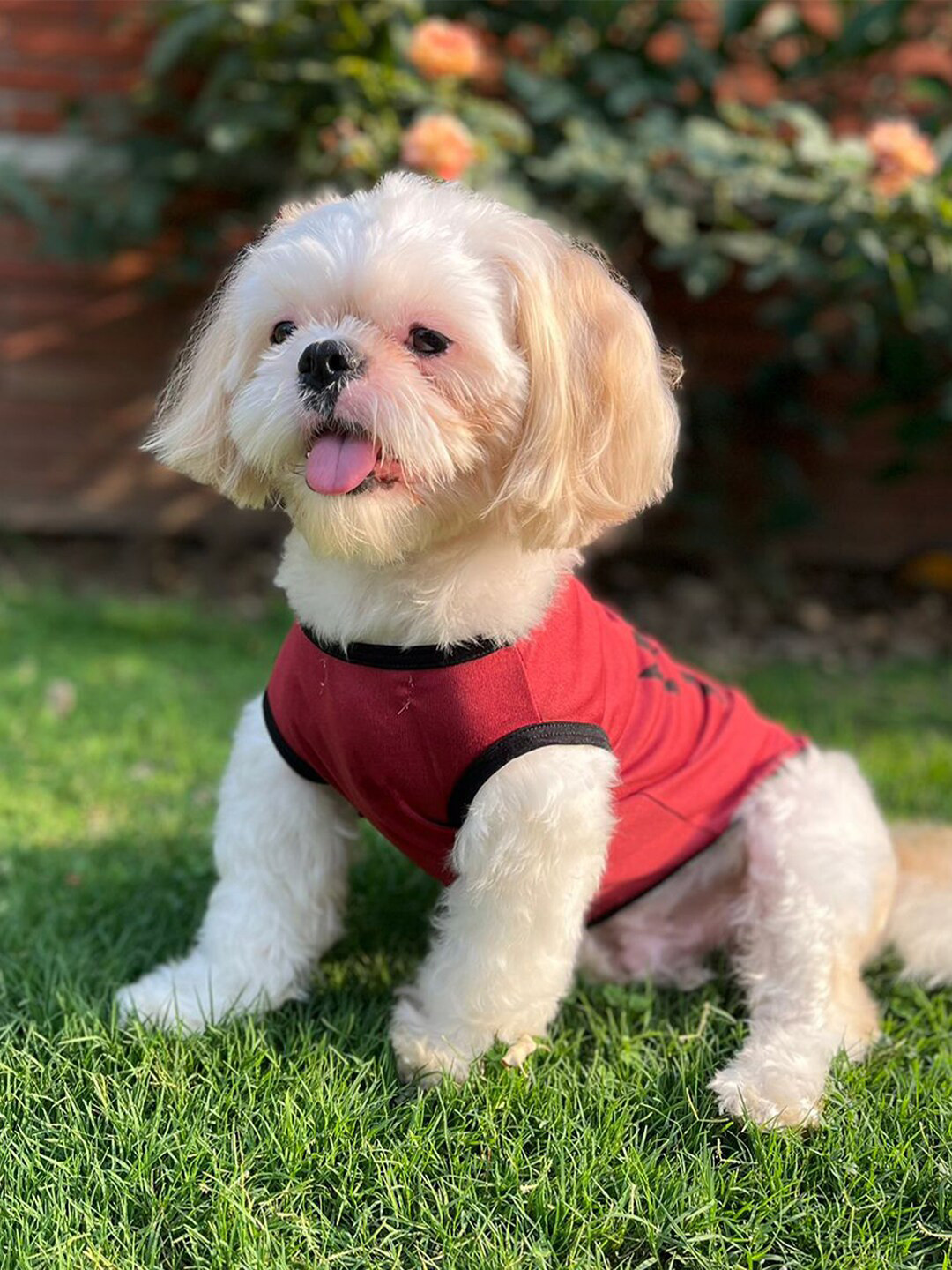 Lulala Mama S Boy Printed Dog T-shirt