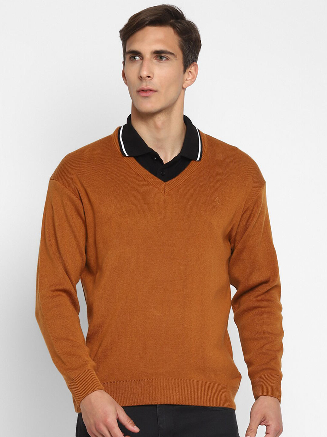 Alan Jones V-Neck Long Sleeves Acrylic Pullover