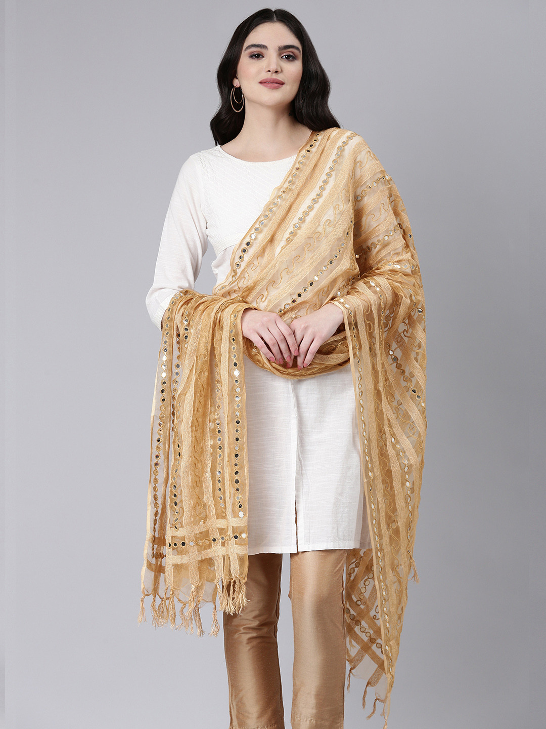 Rani Saahiba Embroidered Organza Dupatta with Mirror Work