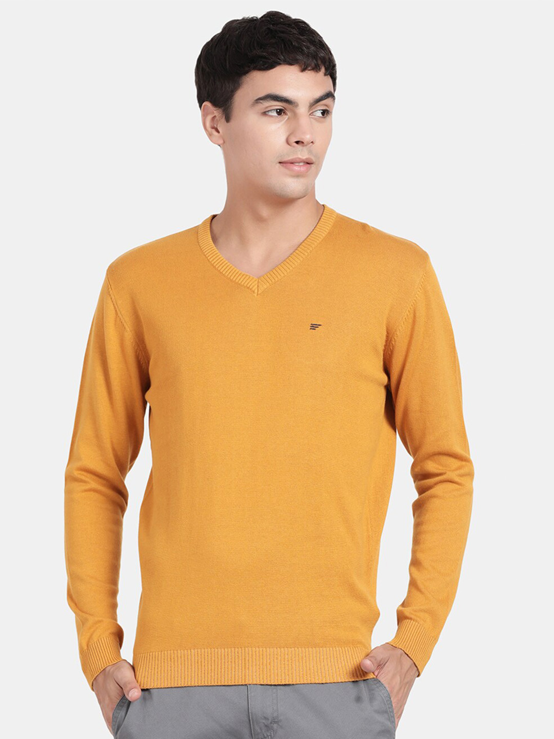 t-base Cotton V-Neck Pullover