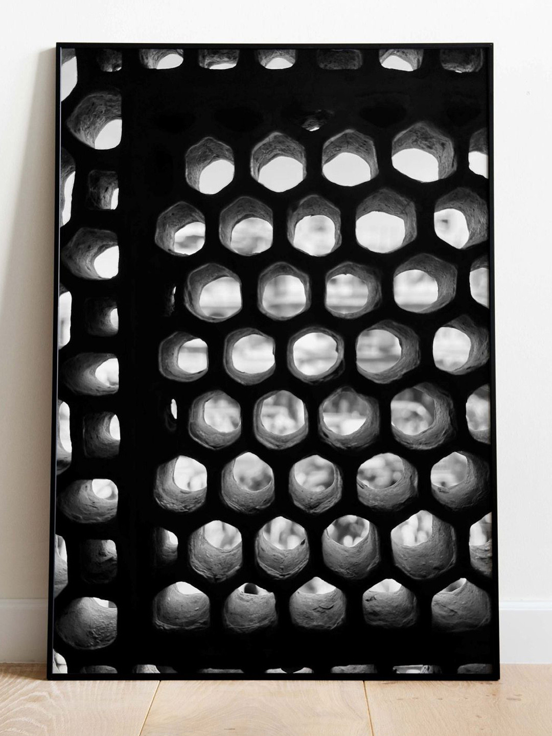 INDIAN CLASSIC ART Black & White Framed Palace Wall Art