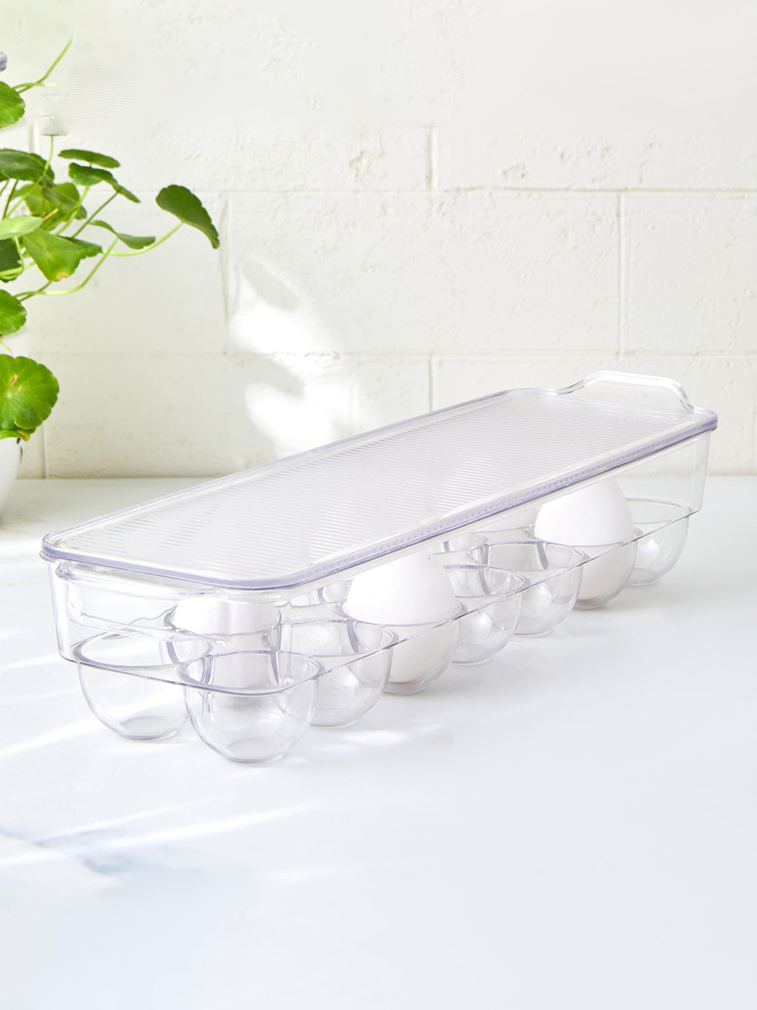 Home Centre Orion Elfin Transparent Egg Holder With Lid