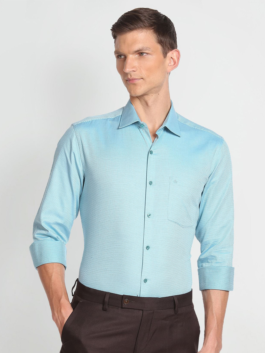 Arrow Textured Self Design Dobby Regular Fit Pure Cotton Formal Shirt