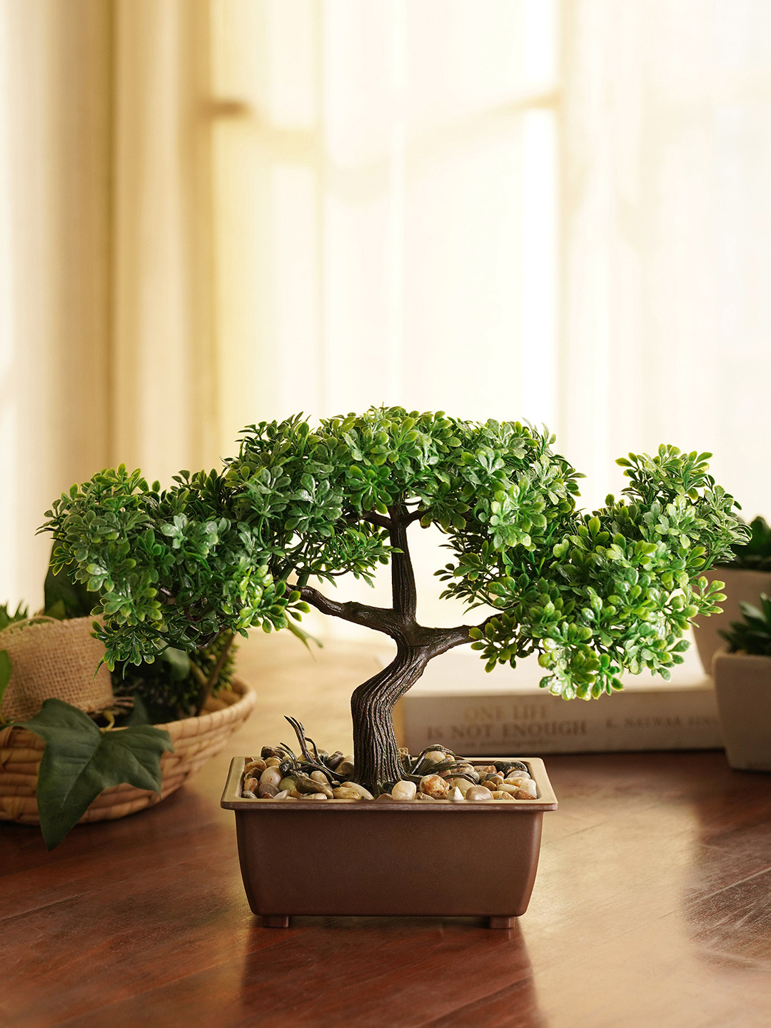 Pure Home and Living Green Faux Bonsai With Cement Pot