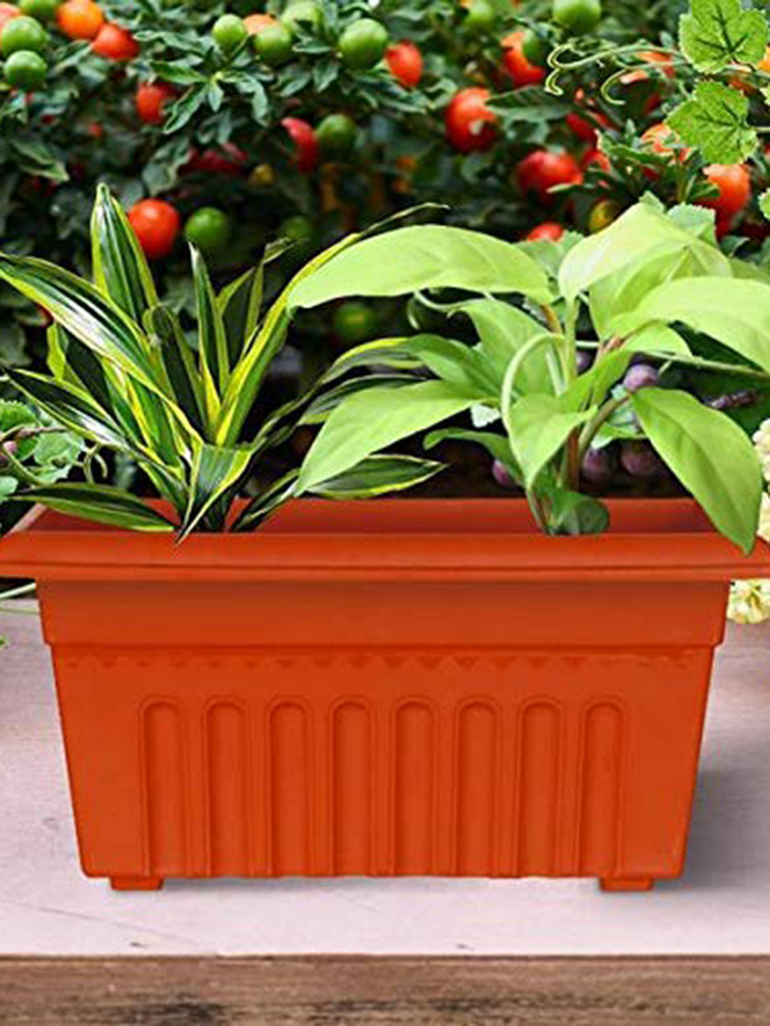 TRUSTBASKET Brown 12 Pieces Textured UV Treated Rectangular Plastic Planters