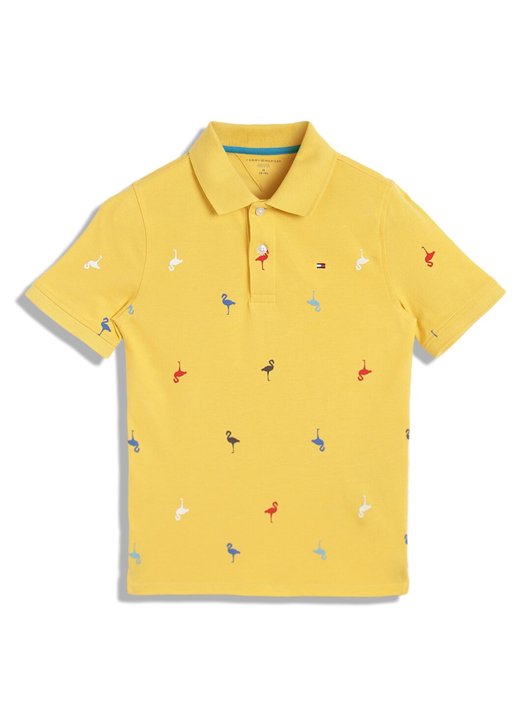 Tommy Hilfiger Boys Conversational Printed Polo Collar Pure Cotton T-shirt