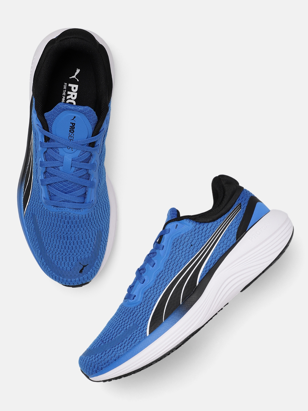 Buy Puma Unisex Scend Pro Running Shoes Sports Shoes for Unisex 24093638 Myntra