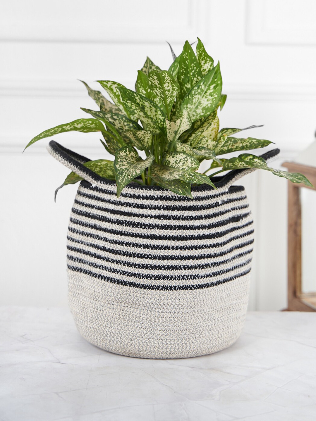 DecorTwist Black & White Cotton Planter Basket With Handle