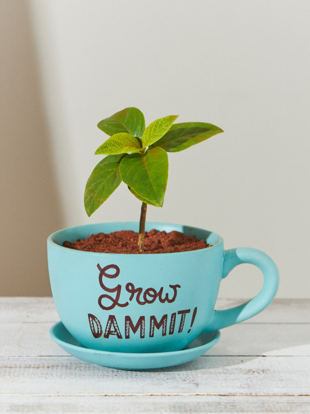 Chumbak Teal Blue Grow Dammit Printed Planter