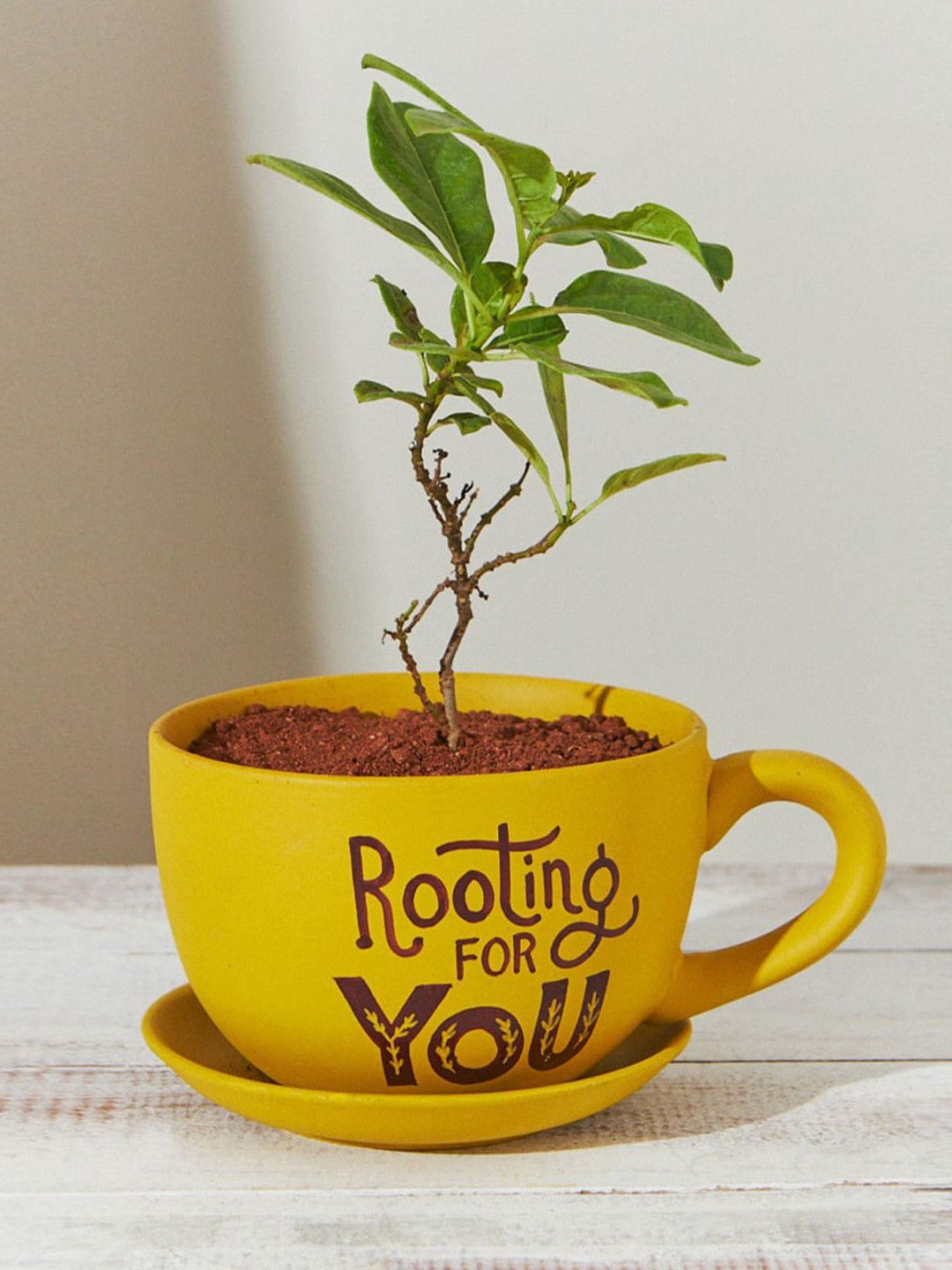 Chumbak Mustard Yellow Rooting for you Printed Planter
