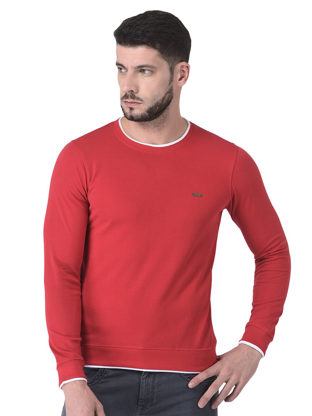 ZEDD Round Neck Cuffed Sleeves Cotton Regular T-shirt