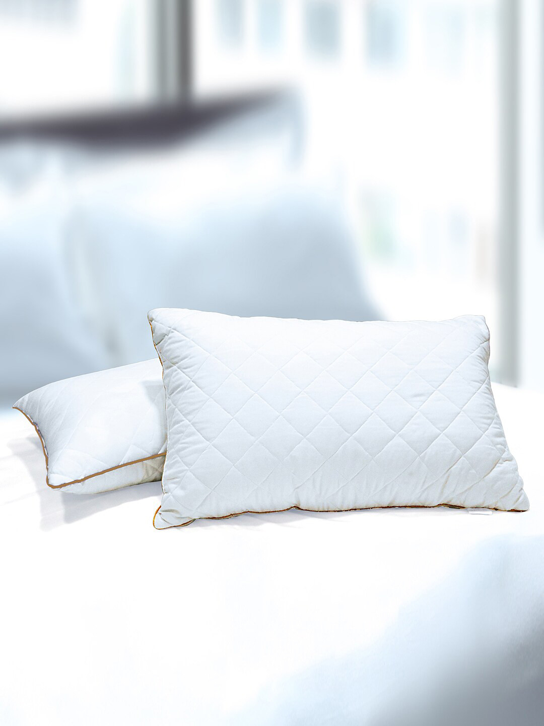 SPACES White Solid Polycotton Set of 2 Medium Fibre Sleep Pillow-69 x 43 cm