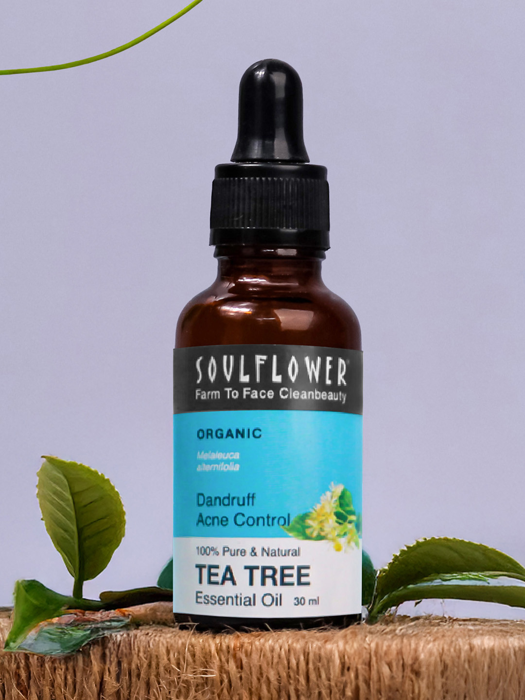 Soulflower Organic Pure Tea Tree Essential Oil for Dandruff & Hair Growth - 30ml