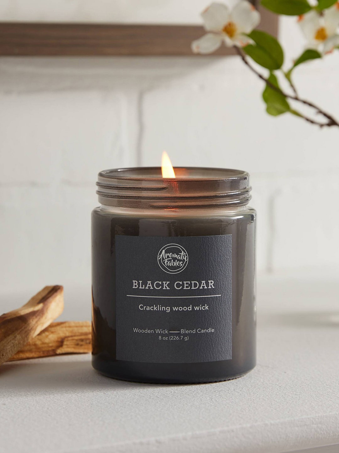 Aromatic Fables Scented 1 Wick Green Apple Solid Geometric Regular Jar Candles