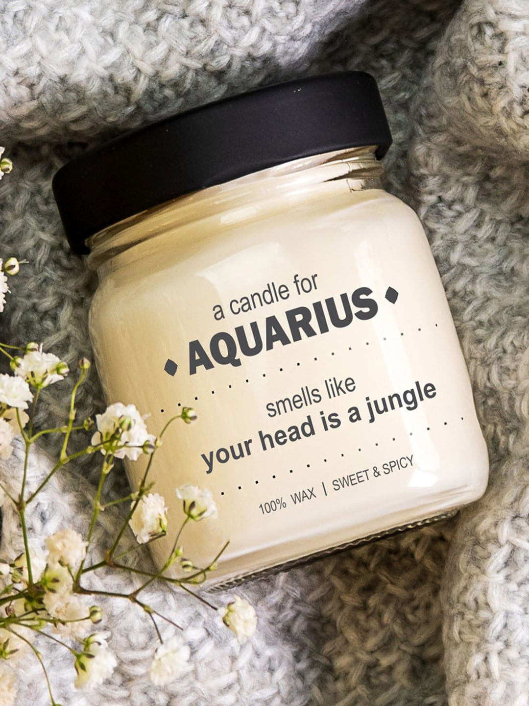 Aromatic Fables Aquarius Zodiac Sweet and Spicy Conversational Jar Candles