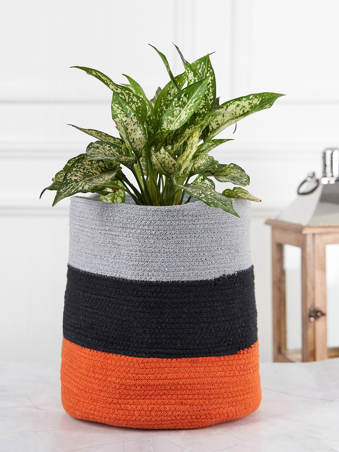 DecorTwist Grey Braided Cotton Planter
