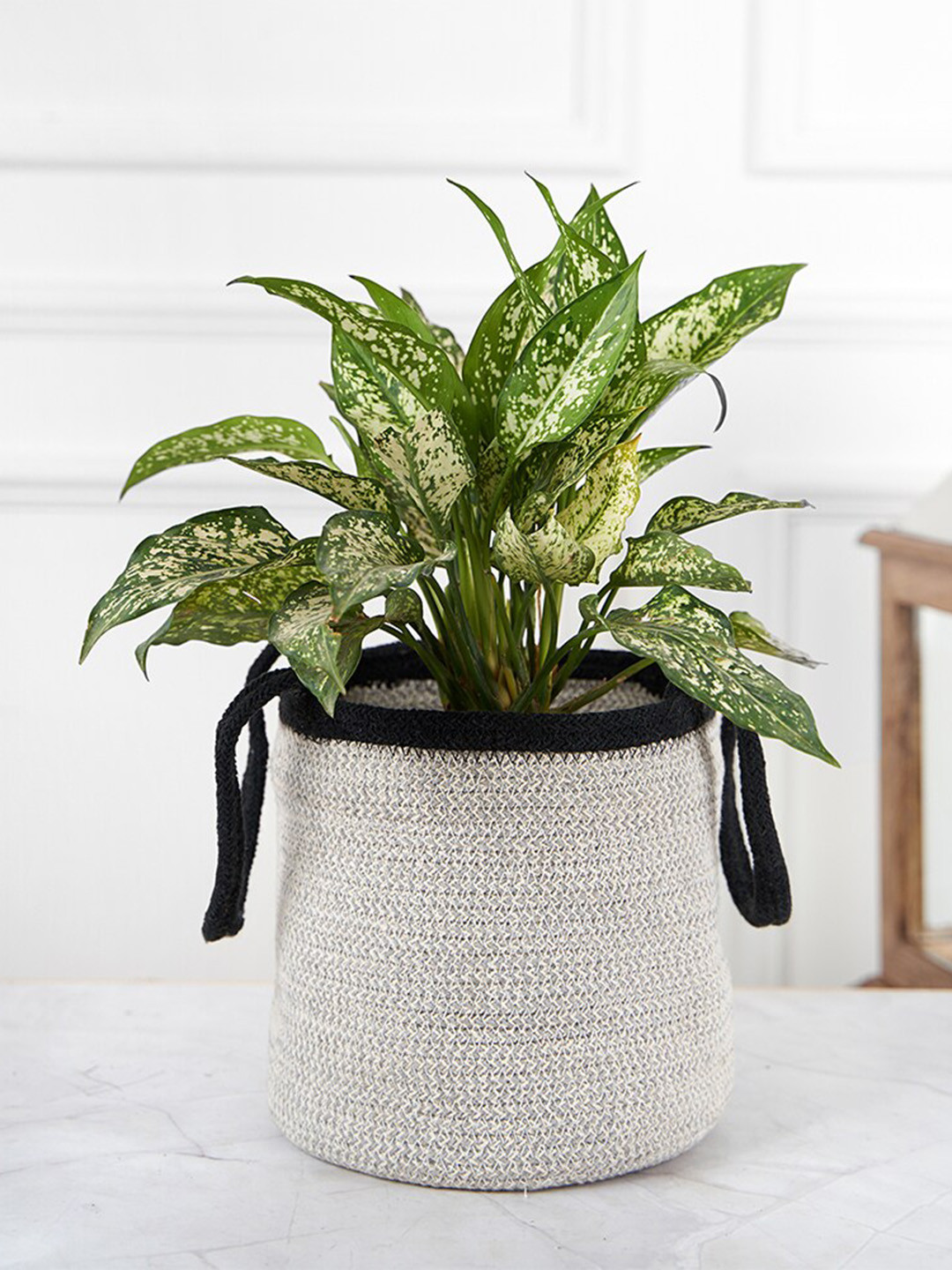 DecorTwist Grey Braided Cotton Planter with Handle