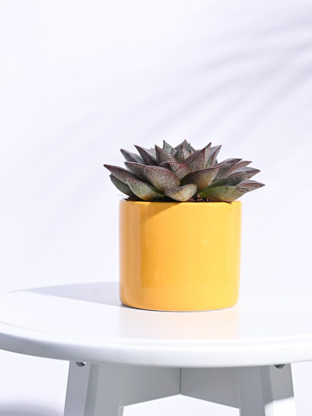 UGAOO Pipe Yellow Ceramic Small Planter