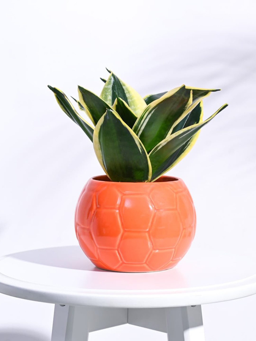 UGAOO Football Orange Textured Ceramic Planter