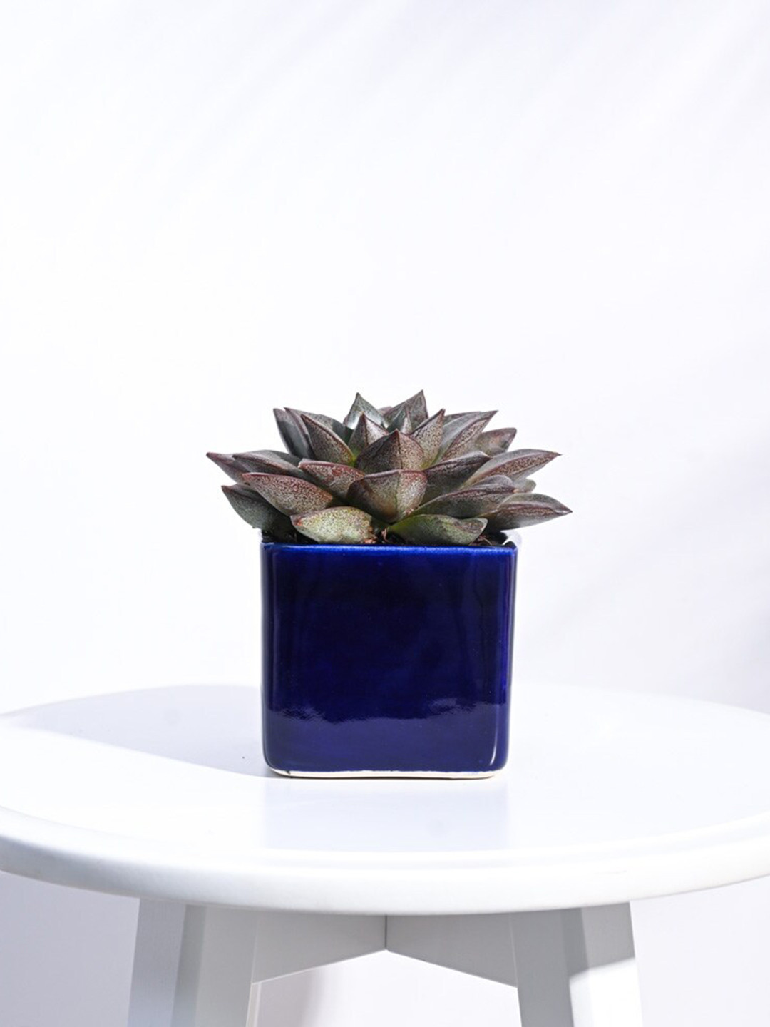 UGAOO Blue Square Ceramic Planter