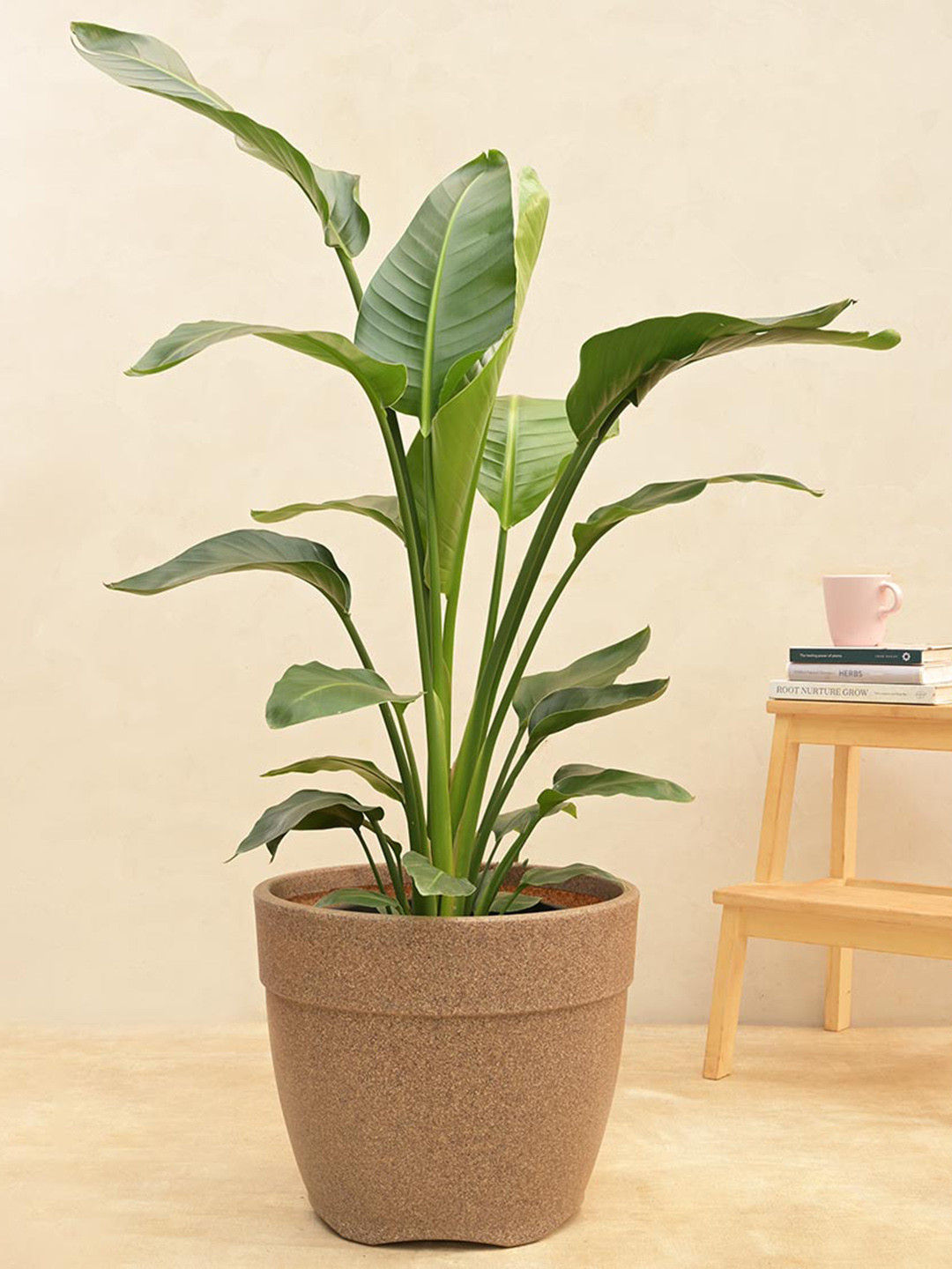 UGAOO Barca Stone finish Round Planter