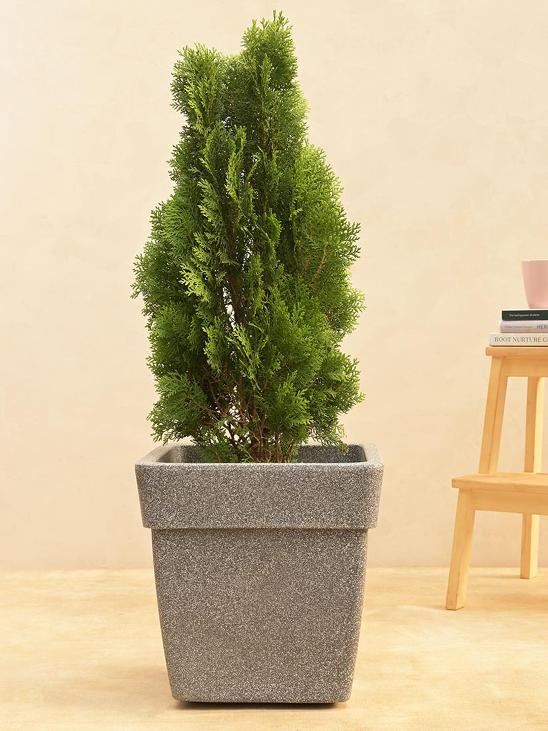 UGAOO Barca Grey Stone finish Square Medium Planter