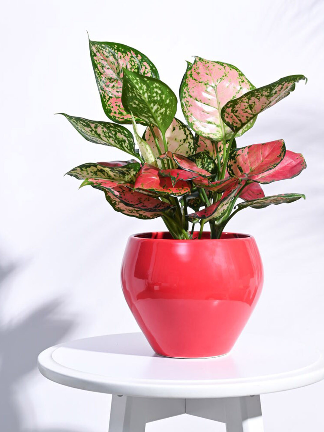 UGAOO Red Apple Ceramic Planter
