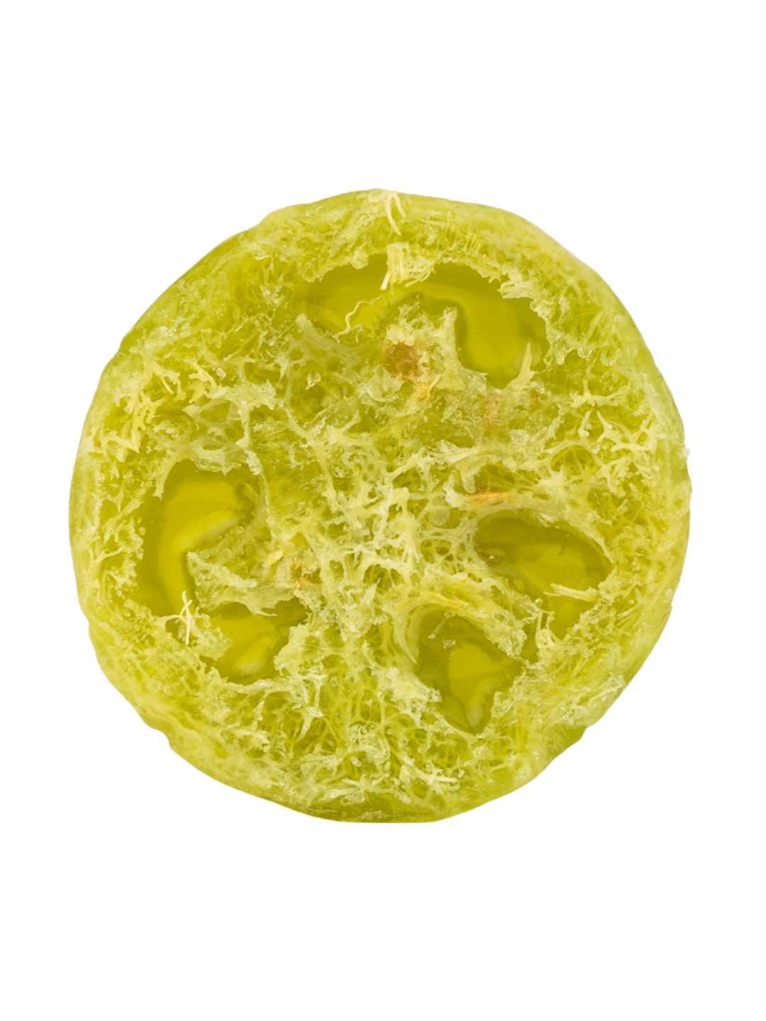 vanaura organics Aloe Vera Handcrafted Foot Scrub with Luffa Fibre