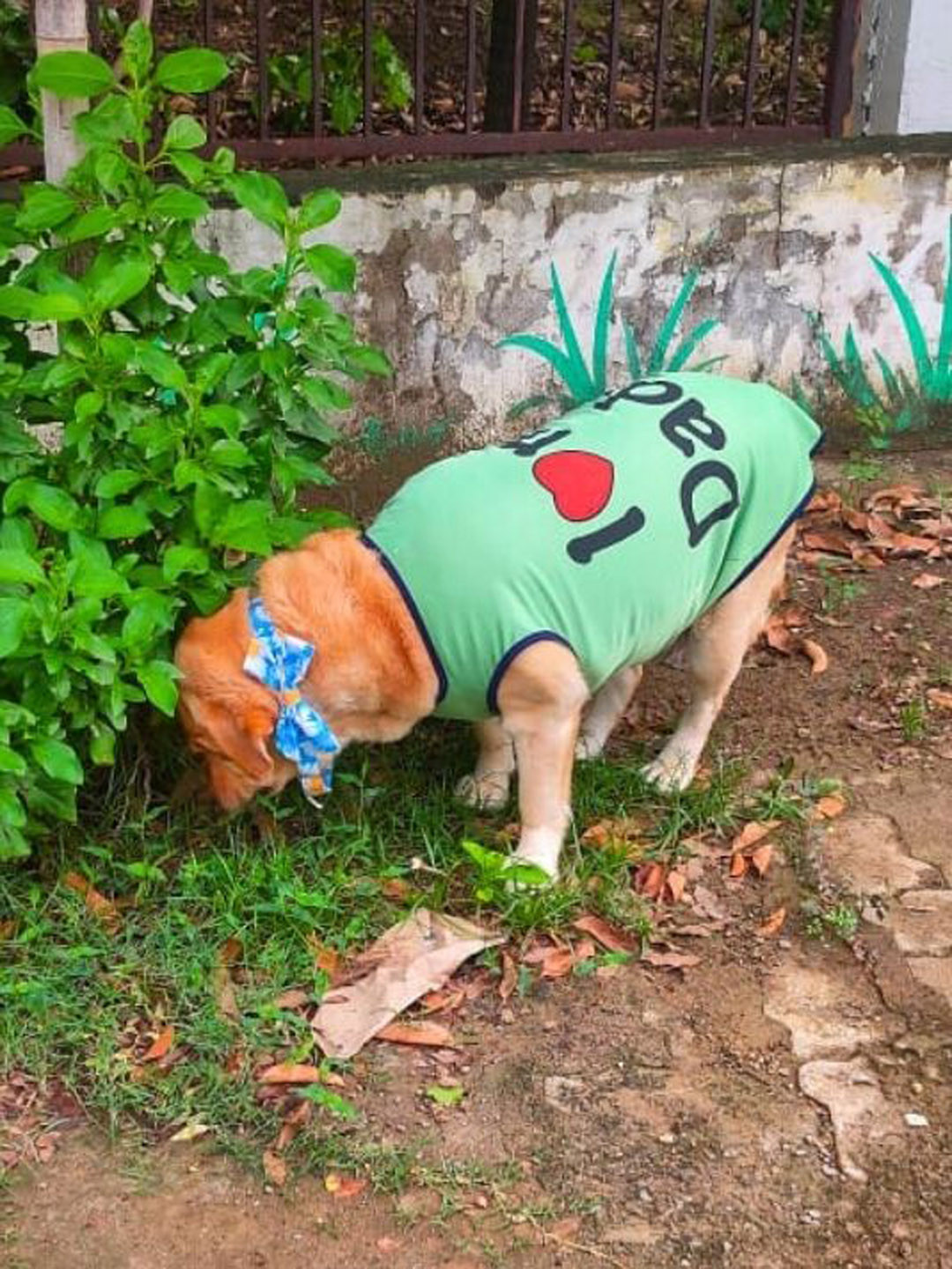 Lulala Graphic Printed Dog T shirts