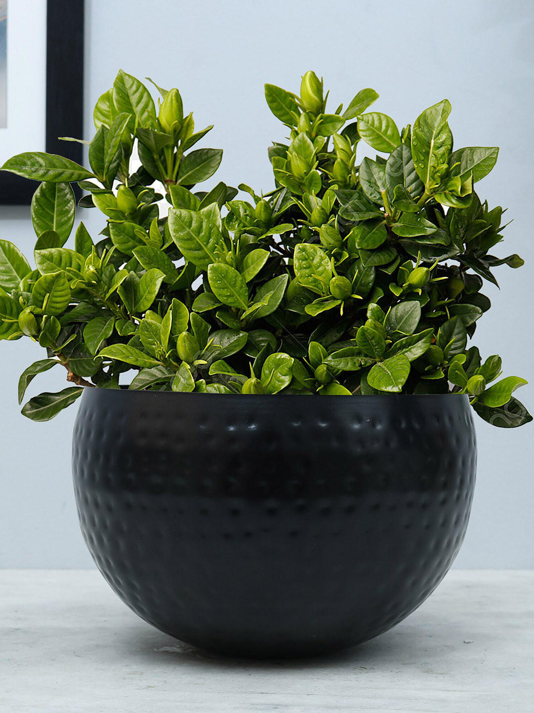 Homesake Black Hammered Design Metal Small Planter