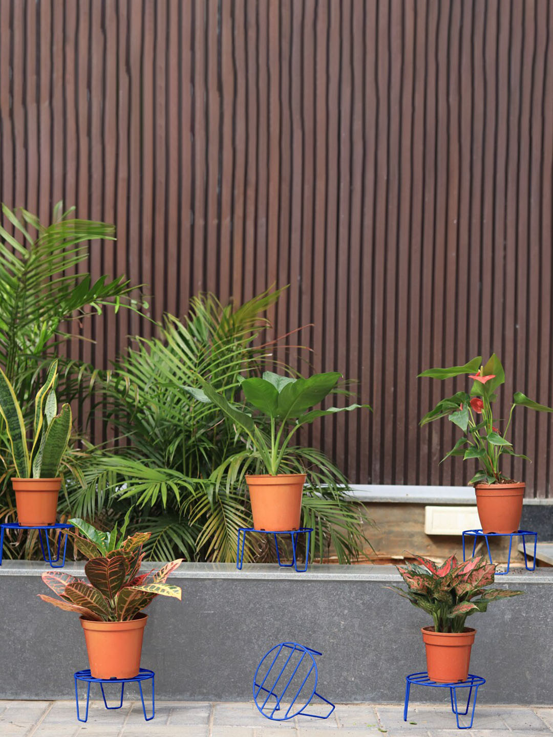 TRUSTBASKET 18-Pcs Blue Eclipse Planter Stands