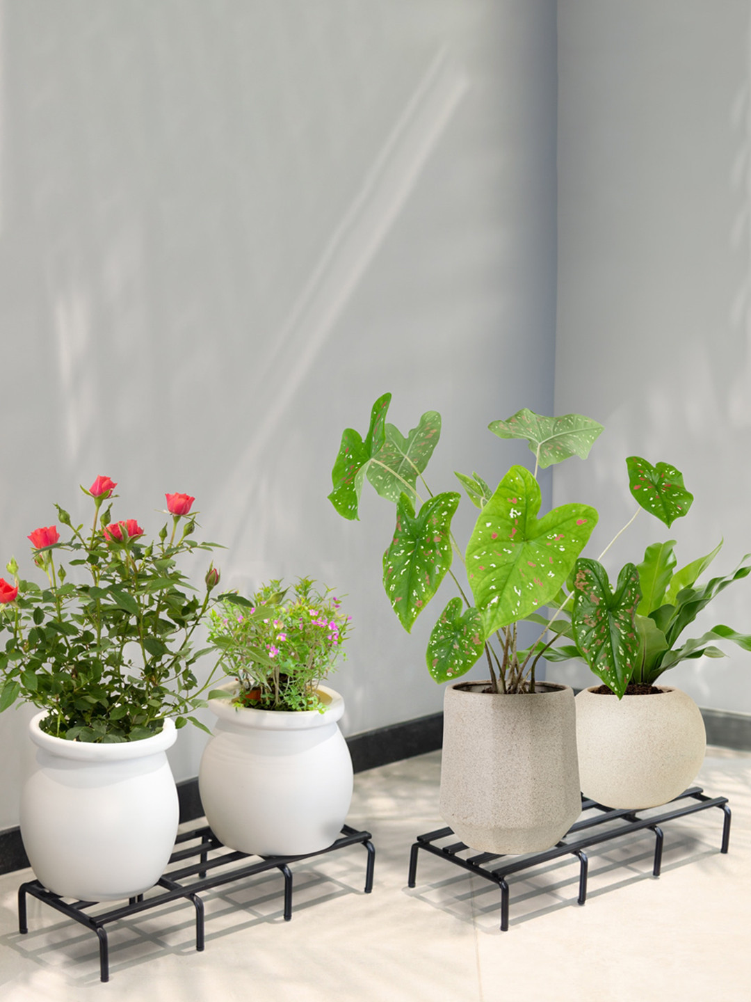 TRUSTBASKET 4 Pcs Black Planter Stand