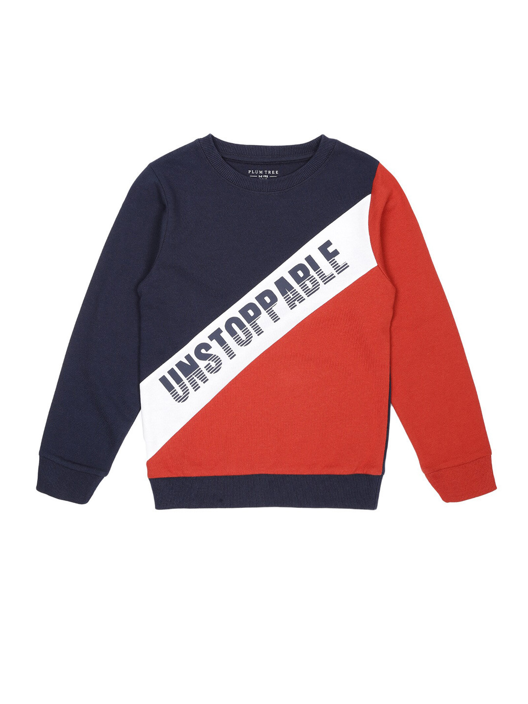 PLUM TREE Boys Colourblocked Cotton Pullover Sweatshirt