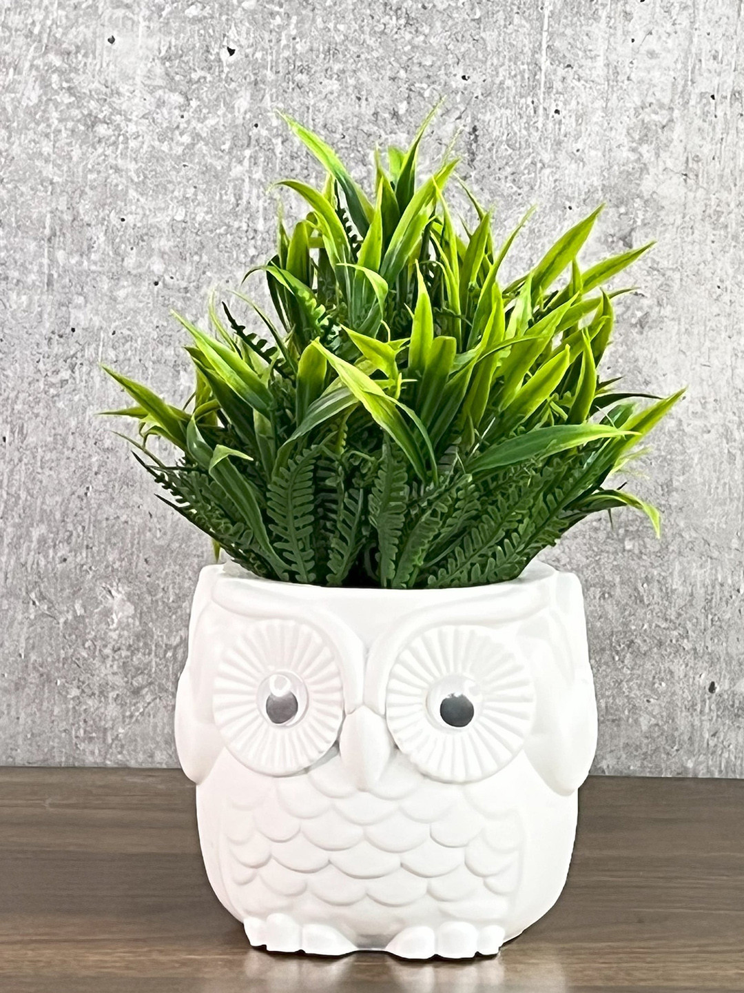 Akaar Green & White Fern Plant With Plastic Pot
