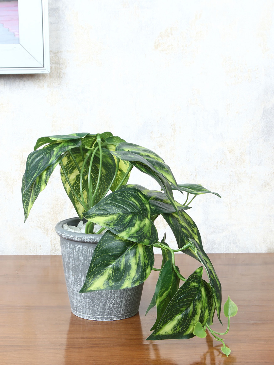 FOLIYAJ Green & Grey Artificial Money Plant With Pot