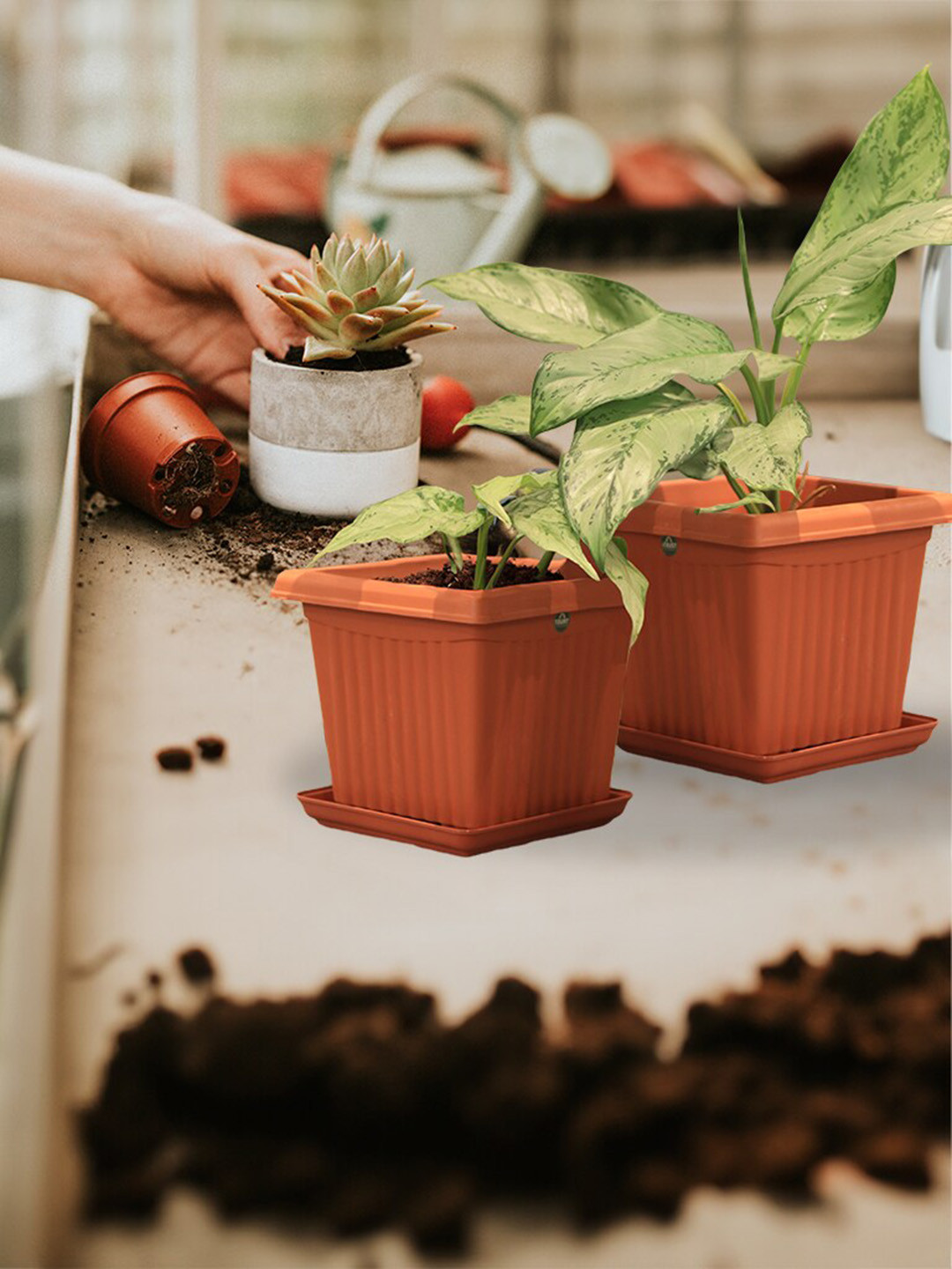 TRUSTBASKET Brown 3 Pieces Square Planter with Saucer