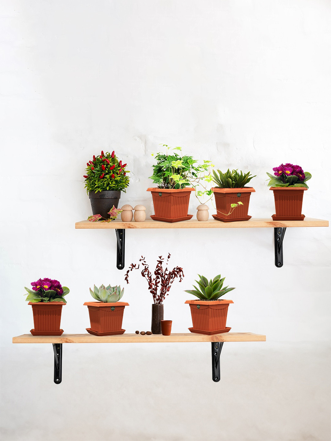 TRUSTBASKET Brown 12 Pieces Sqaure Planters with Saucers