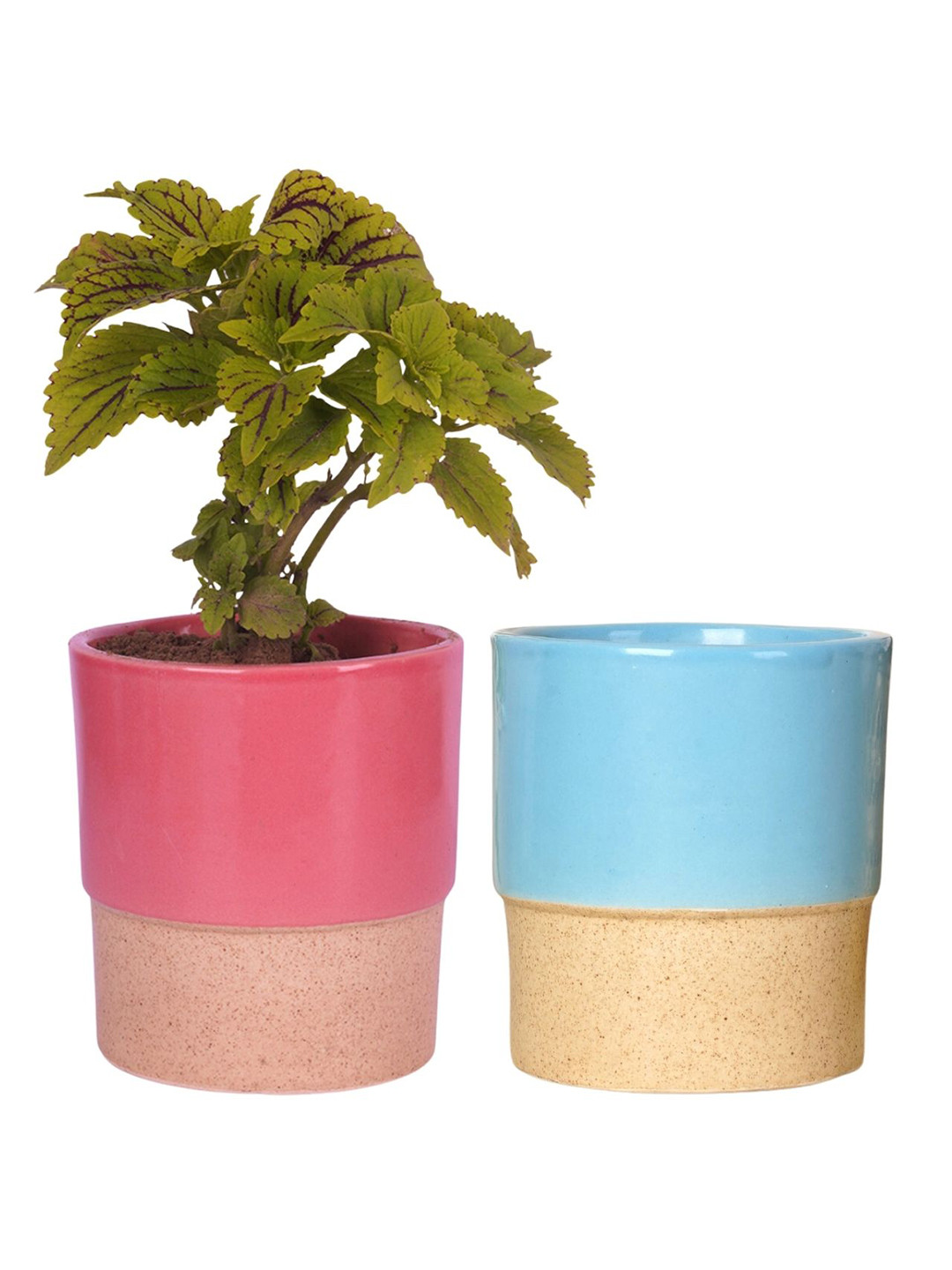 ecofynd Pink & Blue 2 Pieces Ceramic Planters