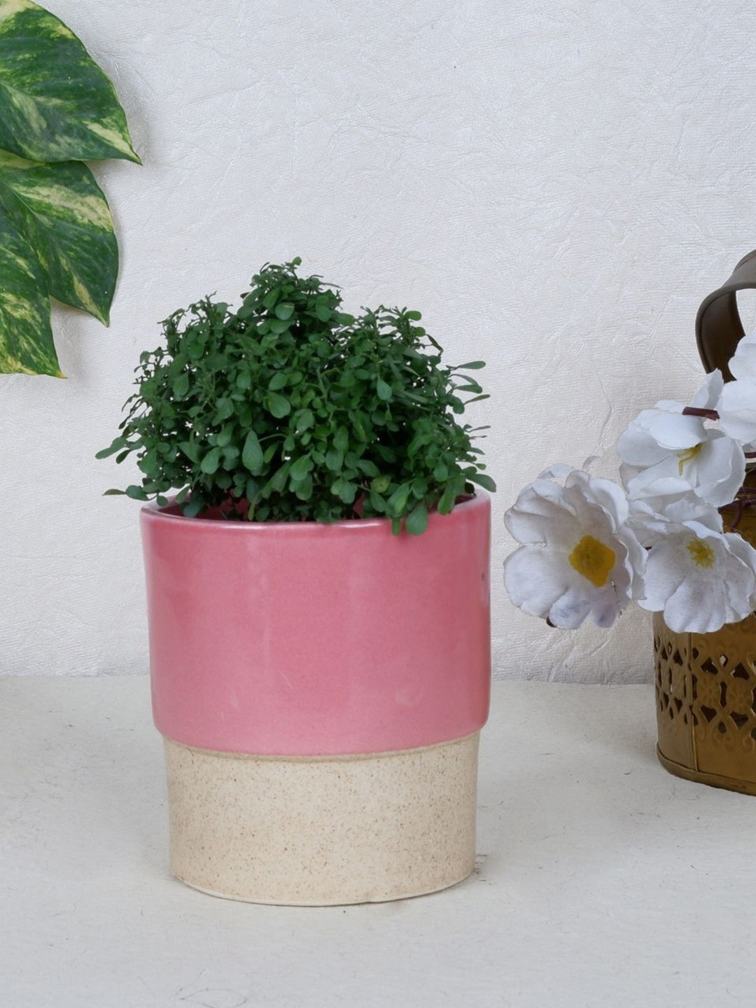 ecofynd Pink & Beige Ceramic Planter Pot