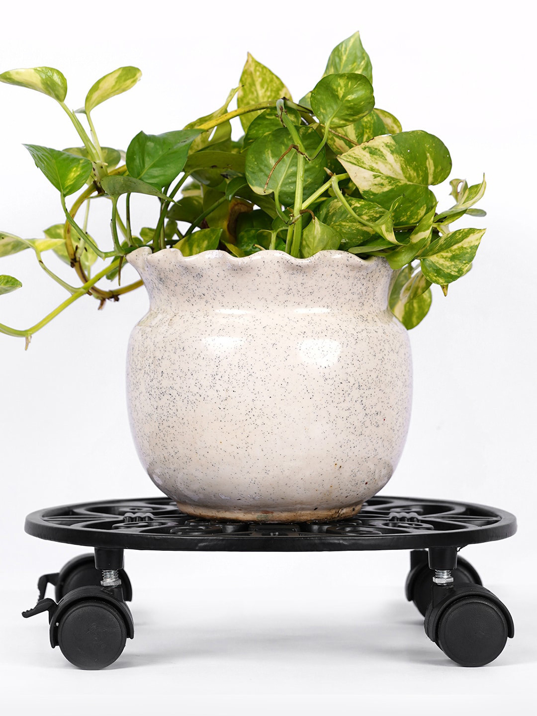 ecofynd Black Round Metal Plant Stand With Wheels