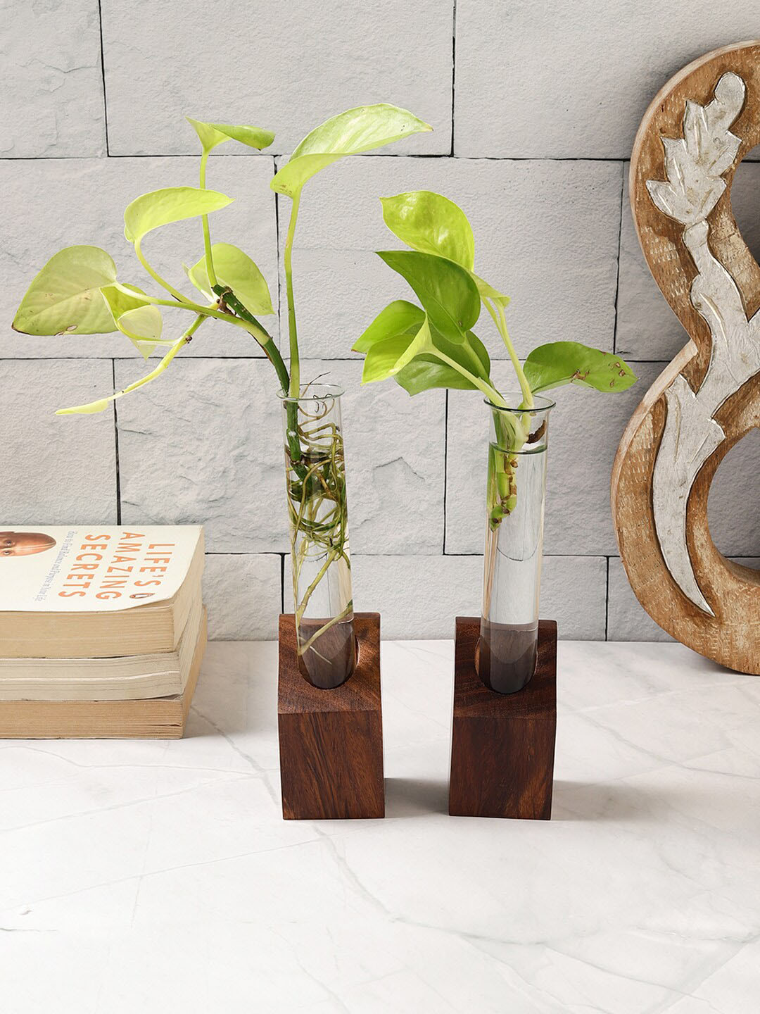 VarEesha Flora Transparent & Brown 2 Pieces Wooden Test Tube Planters