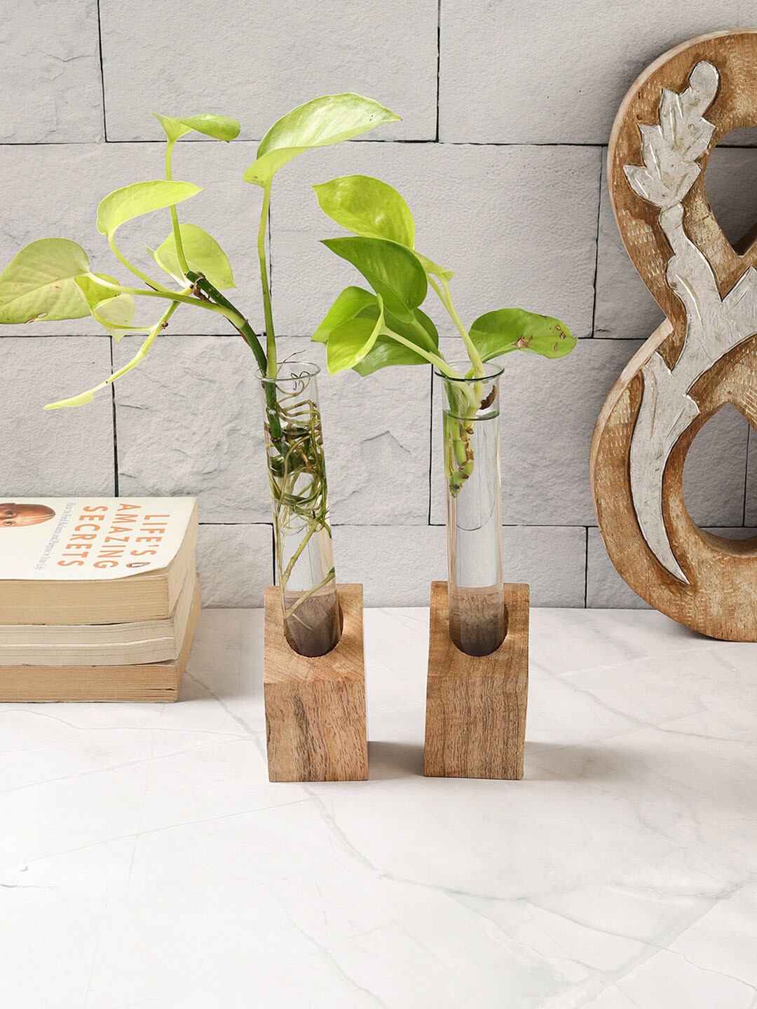 VarEesha Flora Brown 2 Pieces Wooden Test Tube Planters