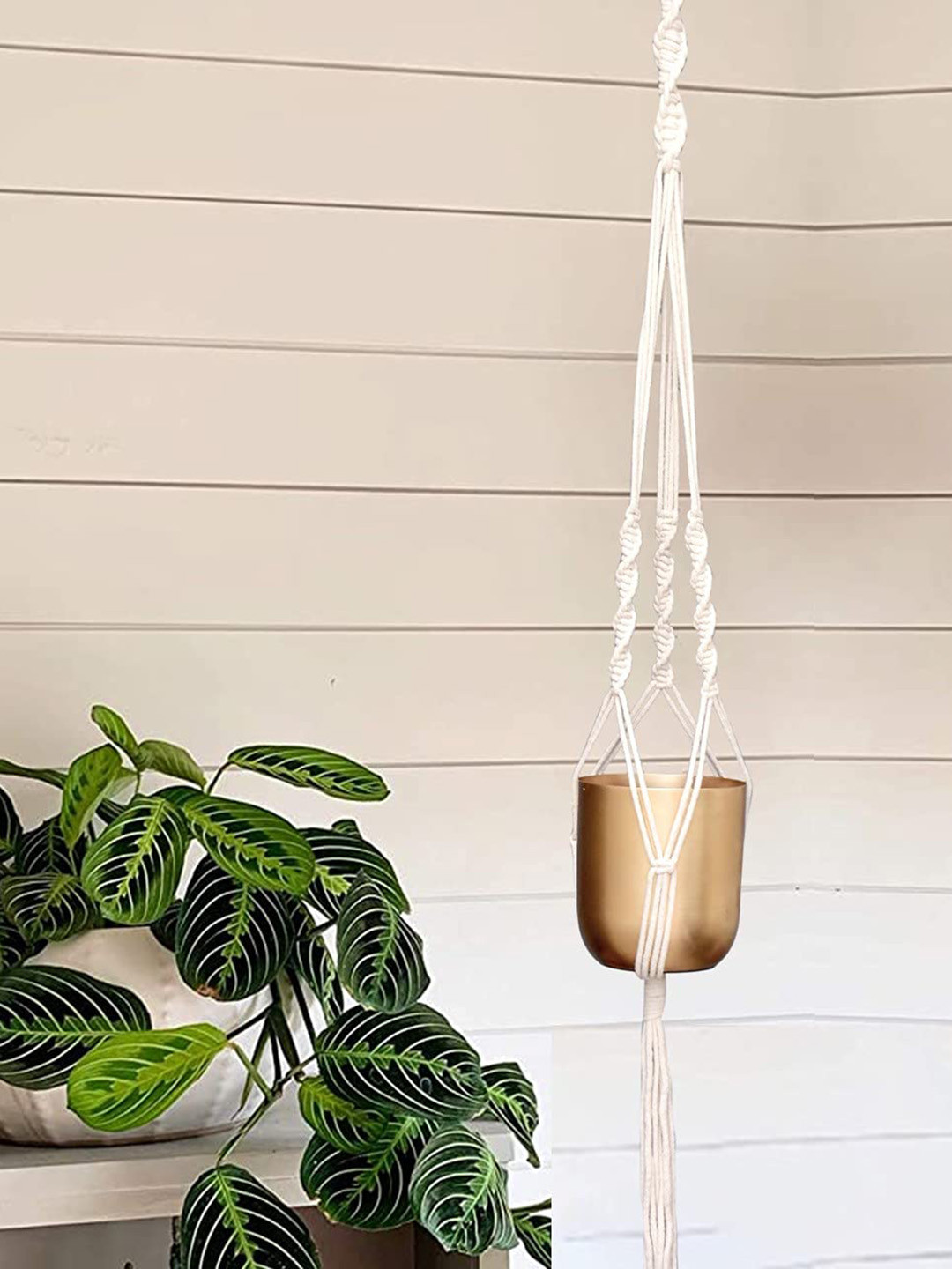 ecofynd Off-White Macrame Plant Hanger