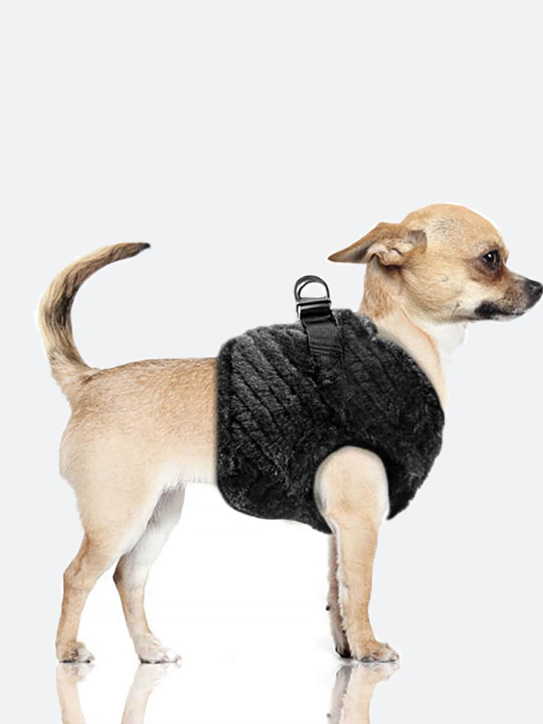 Milk & Pepper Black Training Inga Dog Harness With Buckle Fastening