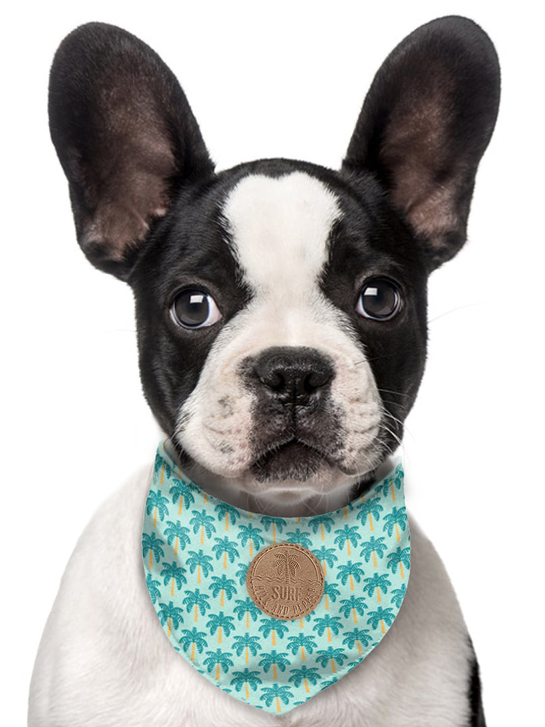 Milk & Pepper Green Graphic Printed Dog Bandana