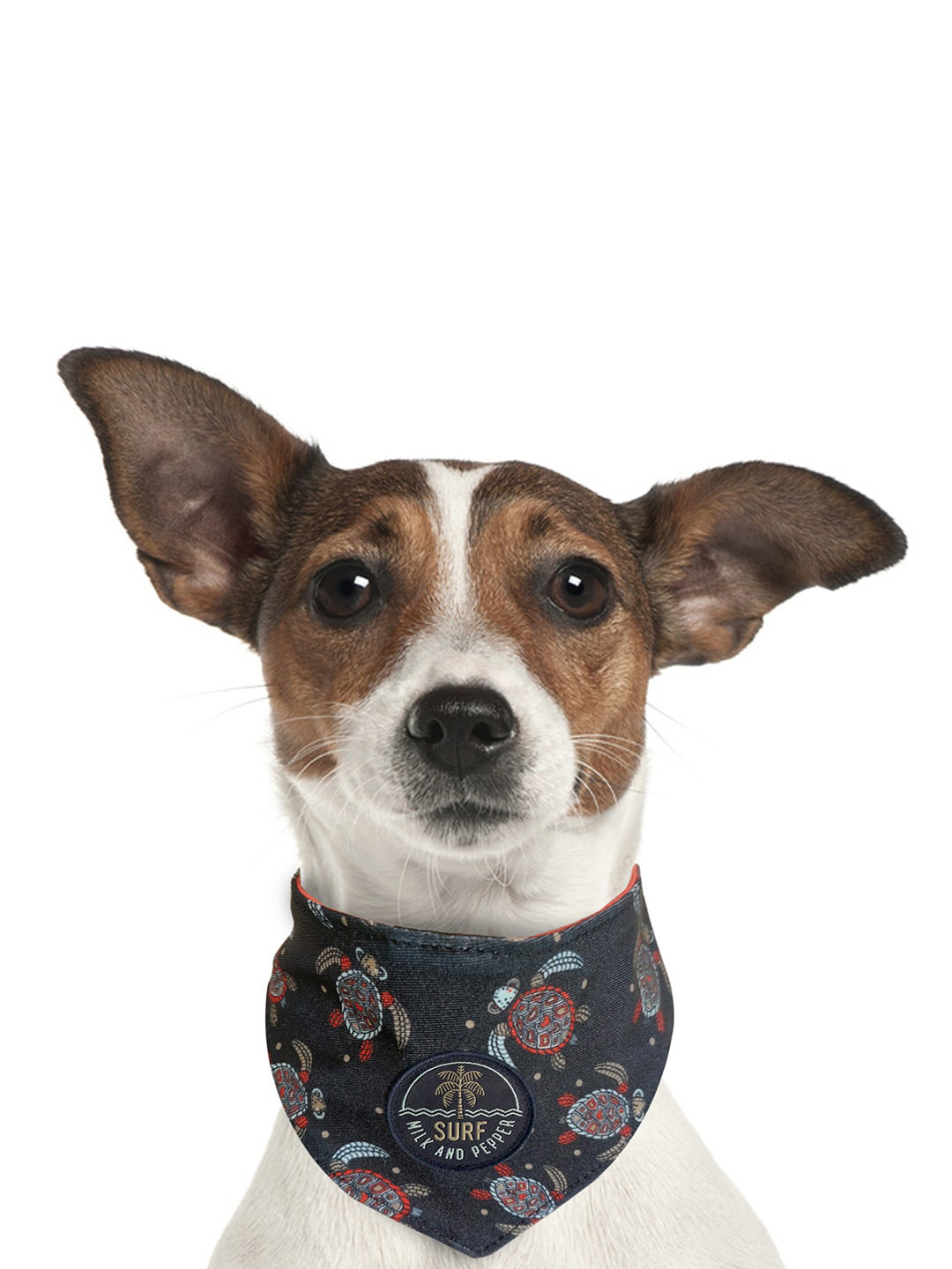 Milk & Pepper Navy Blue & White Graphic Printed Dog Bandana