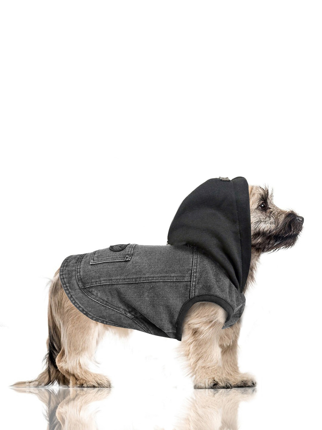 Milk & Pepper Black Dog Pure Cotton Hooded Sweatshirt